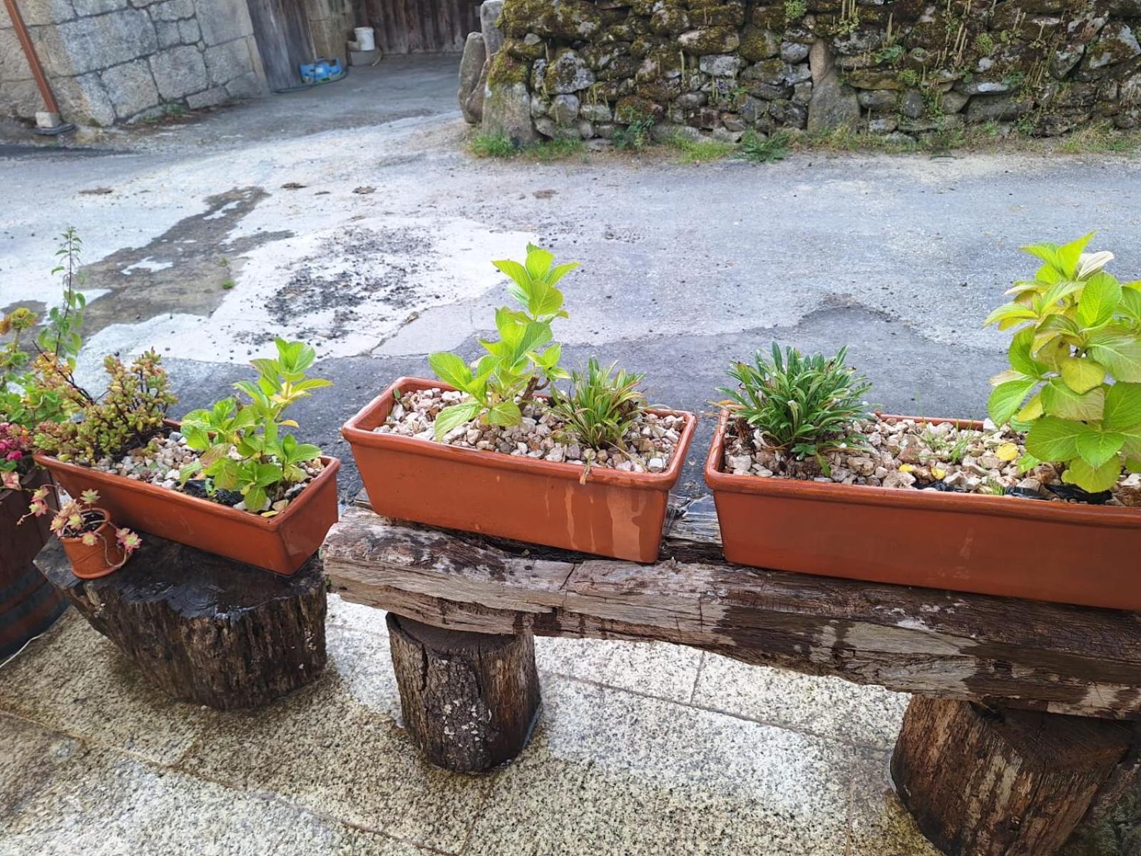 Pension O Corazon Da Ribeira Sacra La Teijeira Exterior foto