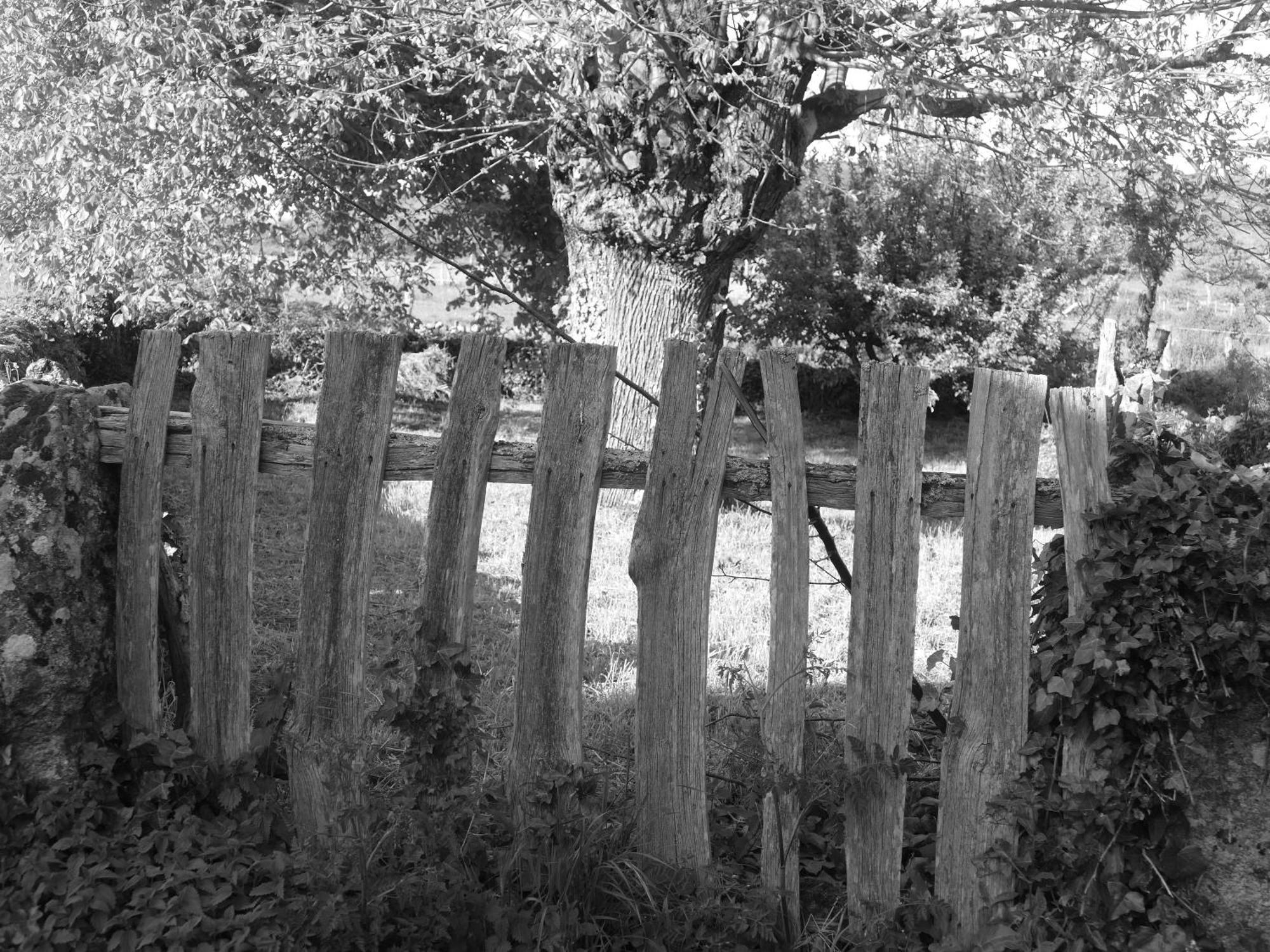 Pension O Corazon Da Ribeira Sacra La Teijeira Exterior foto